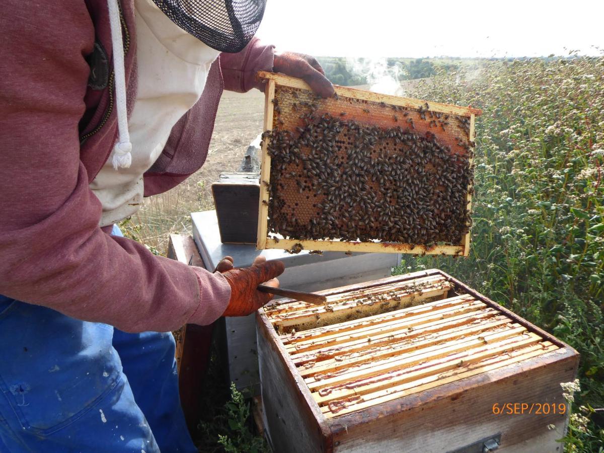 A La Haute Bouillere Chavagnes-les-Redoux Exterior foto